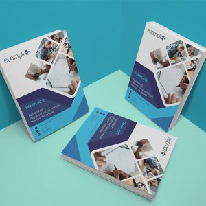 Appointed Representative Annual Review Template